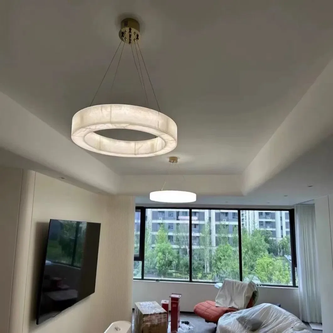 Lustre en albâtre Phecda, nuage de disques, vue 6 sur 6